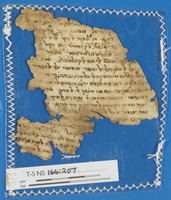 הלכה;פרשנות מקרא.