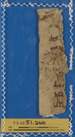 מקרא [טקסט];עזרי הוראה, נסיונות קולמוס, תרגילי כתיבה, שרבוטים;תחום לא מזוהה.