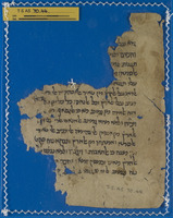 מקרא [טקסט];מקרא ותרגומים;תרגומים ארמיים.