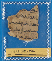 לא ניתן להכרעה מתוך הקטלוג;רפואה.