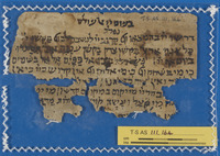 תשובה לרמב"ם (קטע) : קטעי גניזה.