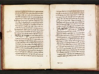 סגלות מובחנות.