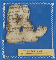 זוהר;חכמת הנסתר;מרשמים מאגיים;ספרות הגות (פילוסופיה, תיאולוגיה, מוסר).