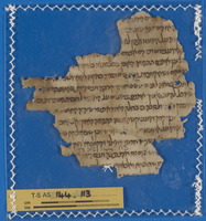 מדעים;רפואה.