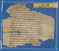 מדעים;רפואה.