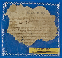 רפואה;תחום לא מזוהה.