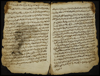 مجموعة في فنون غريبة.