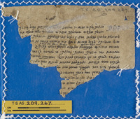 שו"ת גינת ורדים; תחום לא מזוהה.