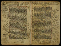 شرح الوقاية لصدر الشريعة الثاني.