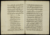 ديوان الشريف الرضي : الجزء الثالث منه.
