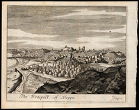 The Prospect of Aleppo MB.s.