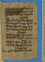מקרא ותרגומים;תפסיר ערבי;תרגומים ארמיים.