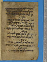 מקרא ותרגומים;תפסיר ערבי;תרגומים ארמיים.