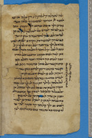 כפאיה אלעאבידין;תחום לא מזוהה.