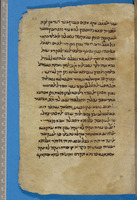 כפאיה אלעאבידין;תחום לא מזוהה.