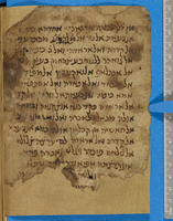 כתאב אלג'ואהר;פילוסופיה.