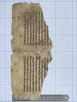 תורת המנחה (פרשת בראשית; נח).