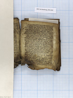 מרדכי קטן (בבא קמא קטעים).