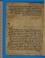 המרולוגיה/הורולוגיה;מדעים;תחום לא מזוהה.