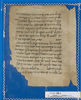היסטוריוגרפיה ותאורים גיאוגרפיים; מקרא [טקסט]; מקרא ותרגומים; פרשנות מקרא.