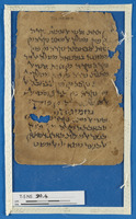 חכמת הנסתר;מדעים;נספחות לחיבור;תפילה וברכות.