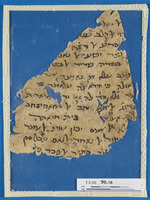 אסטרולוגיה;מדעים;ספרי רפואה;תפילה וברכות.