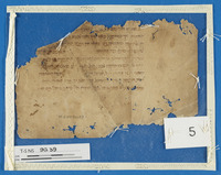 מדעים;רפואה;תפילה וברכות.