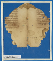 מדעים;רפואה;תפילה וברכות.