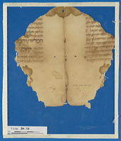 מדעים;רפואה;תפילה וברכות.