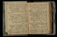 חיי אברהם.