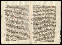حاشية على الدر المختار (جـزء 1-4).