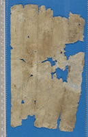 מכתבים;שאלות ותשובות;שאלות ותשובות [רמב"ם].