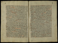 جامع الفصولين في الفروع.