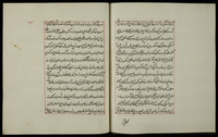 نشان حيدري.