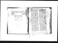 שאהזאדה וצופי.