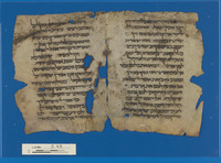 מקרא [טקסט];תפילה וברכות.