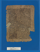 שרח אל תורה [רשב"ח].