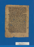 אנכשאף אלאסראר וט'הור אלאנואר.