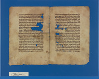 שערי אורה.