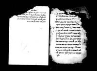 פרוש נביאים וכתובים (קטעים).