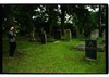 Photograph of: Jewish cemetery in Saxony.