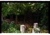 Photograph of: Jewish cemetery in Oranienburg.