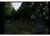 Photograph of: Jewish cemetery in Beelitz.