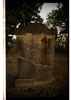 Photograph of: Jewish cemetery in Zehdenick.