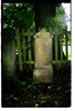 Photograph of: Jewish cemetery in Leer-Loga.