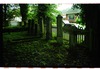 Photograph of: Jewish cemetery in Leer-Loga.