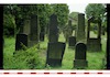 Photograph of: Jewish cemetery in Leer.
