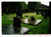 Photograph of: Jewish cemetery in Leer.
