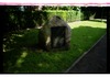 Photograph of: Place of the synagogue in Aurich.