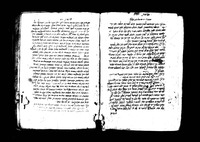לשונות הראב"ע.